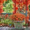 12 Bundles Artificial Flowers for Outdoors – UV Resistant Fake Plants, Faux Orange Greenery Stems for Garden, Patio, Window Box & Home Decor